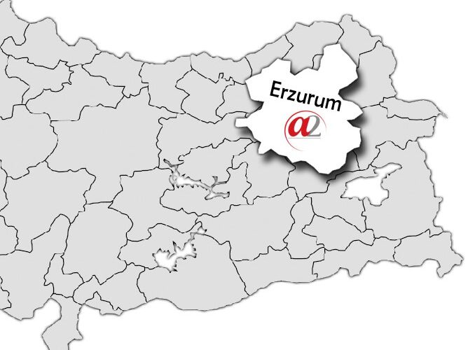 Erzurum KGYS - Safe City